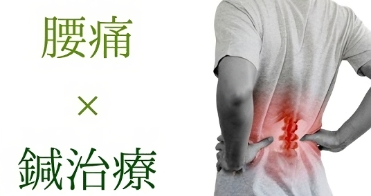 腰がだるい・足が痺れる 腰痛専門鍼灸